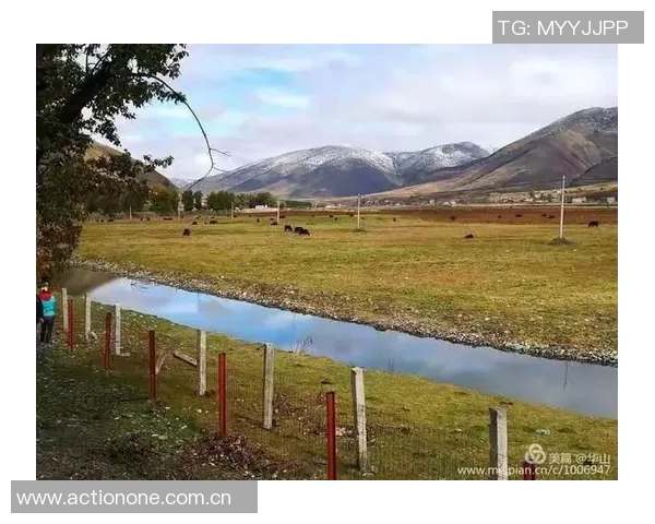 宾高城视频对决精彩回顾与分析带你领略比赛背后的故事与战术解析